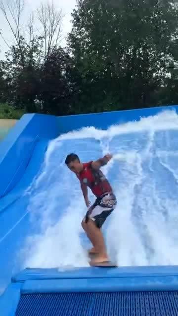 寻找萌宠松鼠